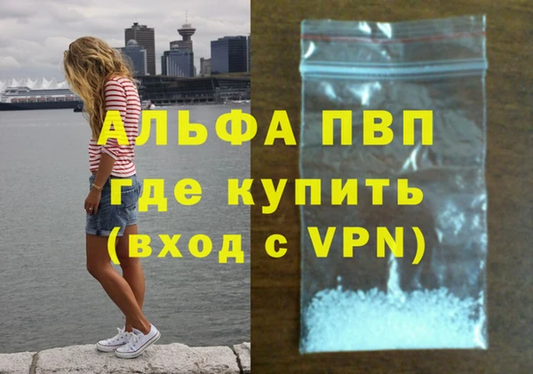 хмурый Алексин