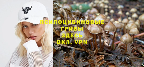 хмурый Алексин