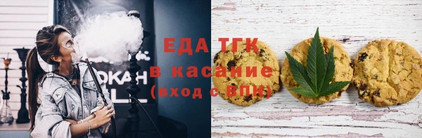 хмурый Алексин