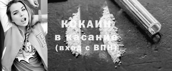 хмурый Алексин