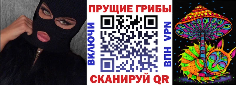 Галлюциногенные грибы Psilocybine cubensis  Татарск 